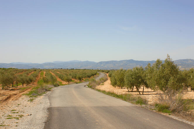 sierra dell'andalusia