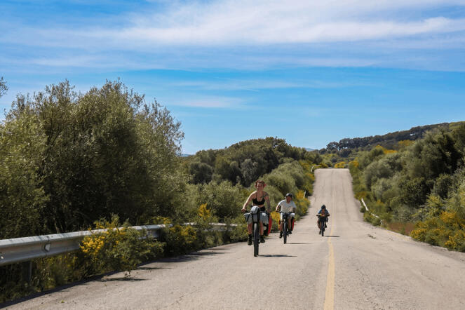 disgraziati in bici
