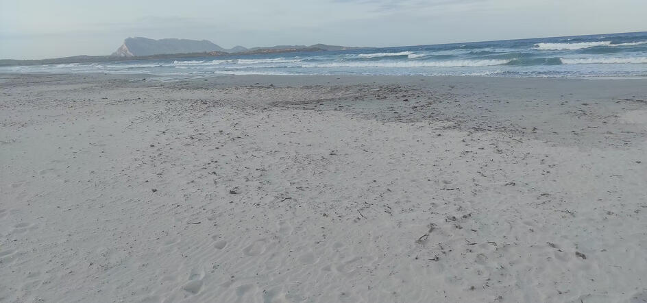 sand+waves=happy life