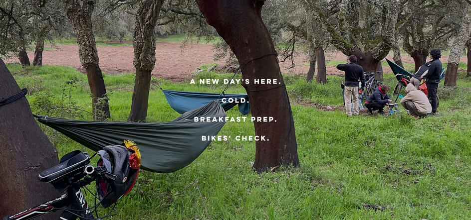 hammocks and chatting in the woods